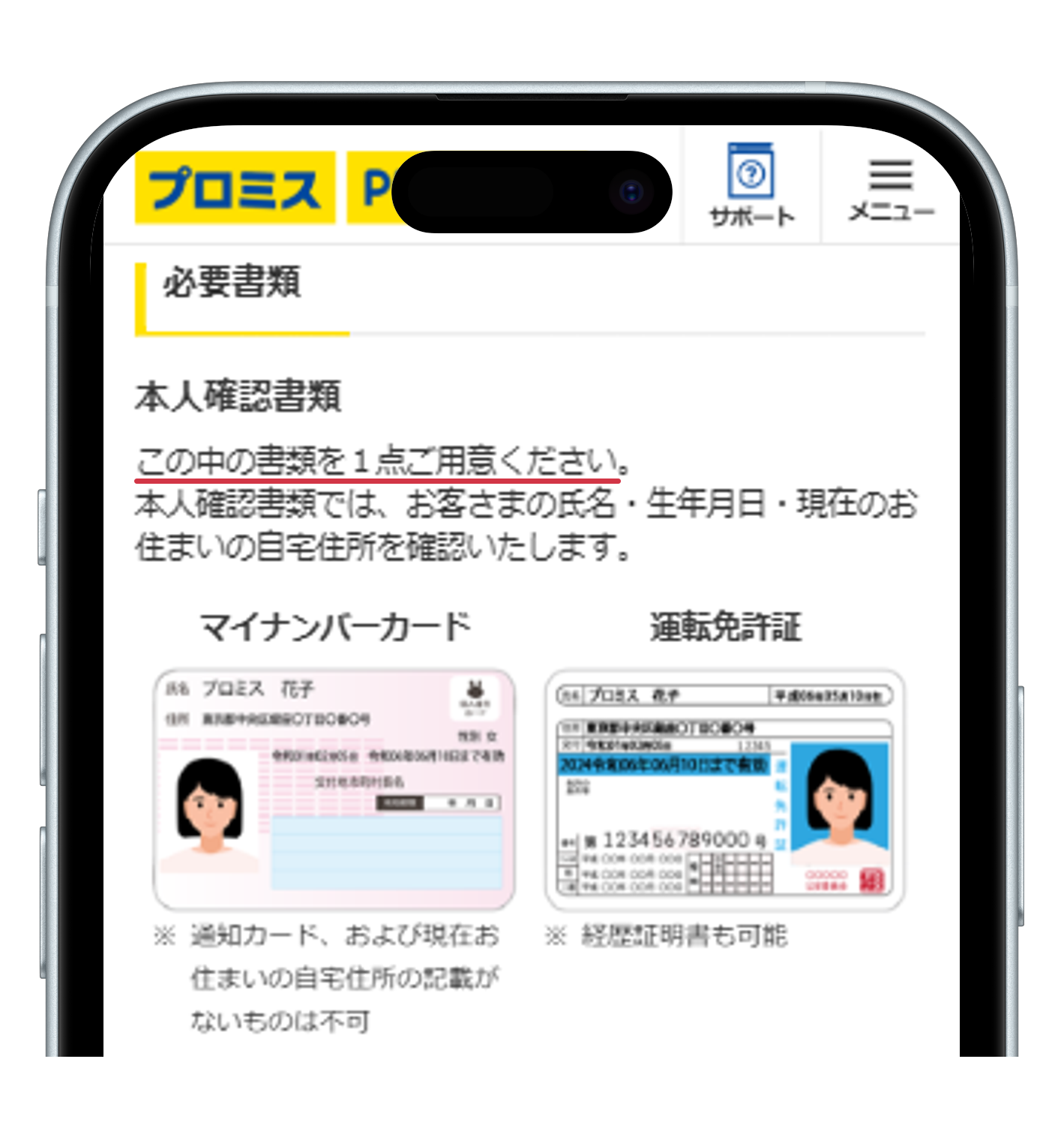 プロミスの必要書類