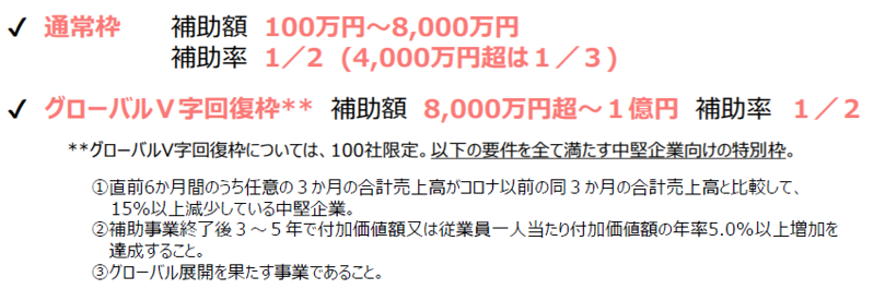 事業再構築補助金リーフレット_03